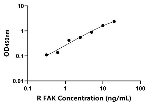 大鼠(FAK)ELISA试剂盒