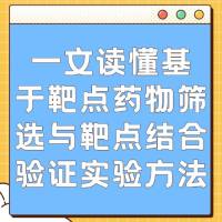 一文读懂基于靶点药物筛选与靶点结合验证实验方法