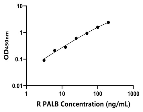 兔(PALB)ELISA试剂盒