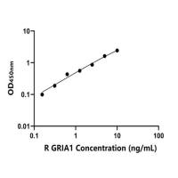兔AMPA离子能谷氨酸受体1(GRIA1)ELISA试剂盒