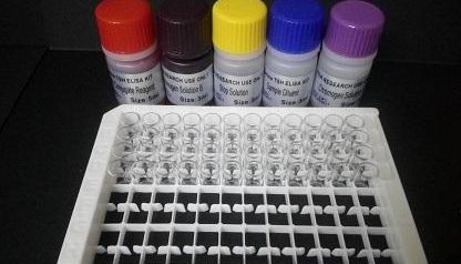 文献引用产品：植物叶绿素a氧化酶（CAO）Elisa试剂盒