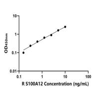 兔S100钙结合蛋白A12(S100A12)ELISA试剂盒