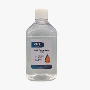 Rapid Transfer Buffer 快速转印缓冲液（10X）