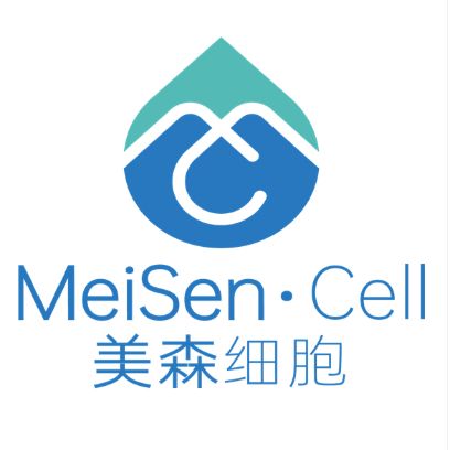 人原代肺微血管内皮细胞