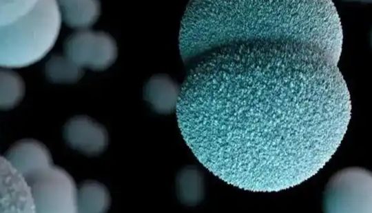 脑膜炎疫情敲响警钟！伟业生物脑膜炎奈瑟菌质控品，为检测保驾护航