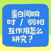 蛋白间瞬时 / 弱相互作用怎么研究？