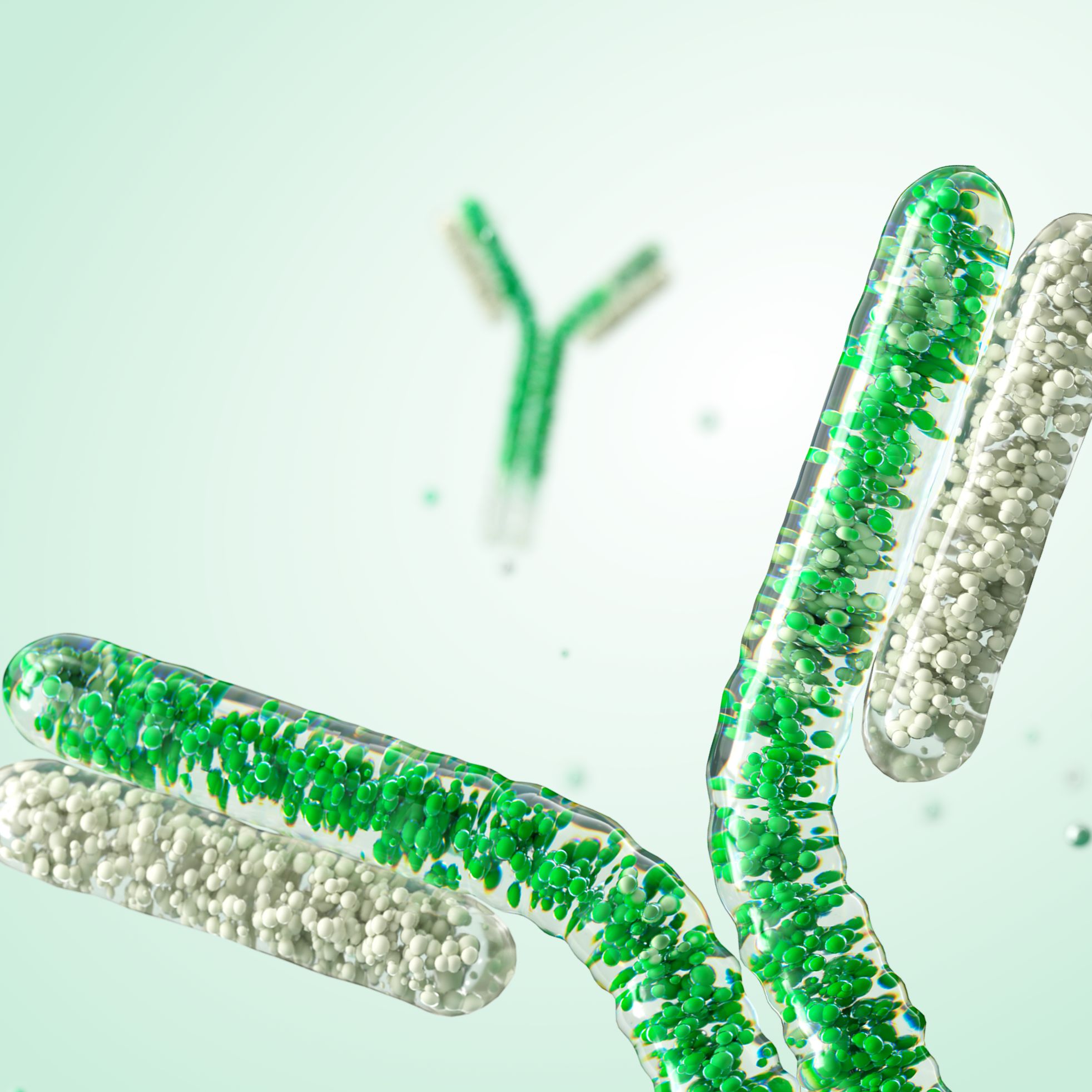 StarBright星光染料偶联抗体
