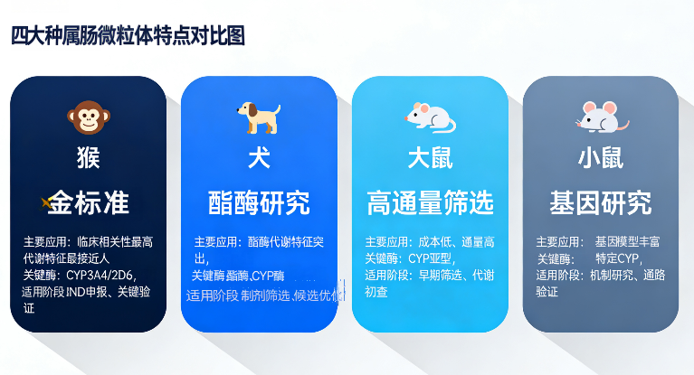 肠微粒体 2-1.png 肠微粒体 2-1.png