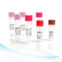 HEK293残留DNA检测试剂盒 （PCR-荧光探针法）