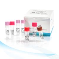 MDCK残留DNA检测试剂盒 （PCR-荧光探针法）