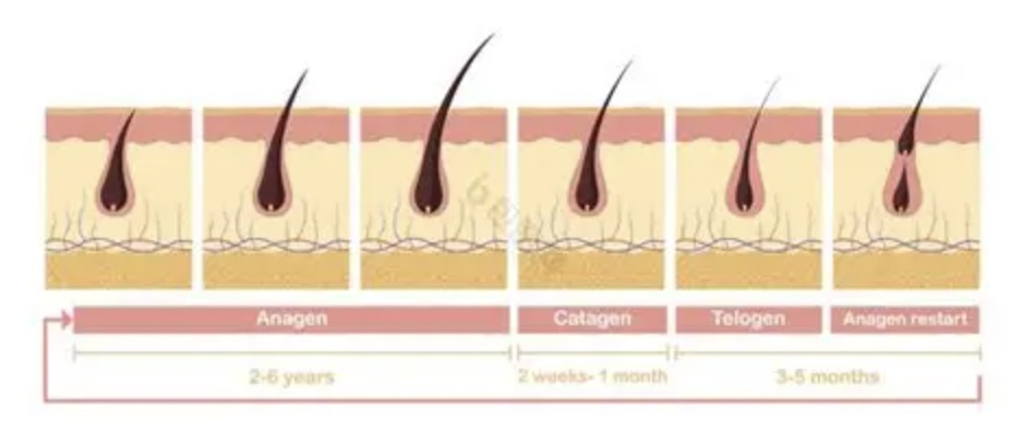 图像2026-3-31 16.18.jpeg