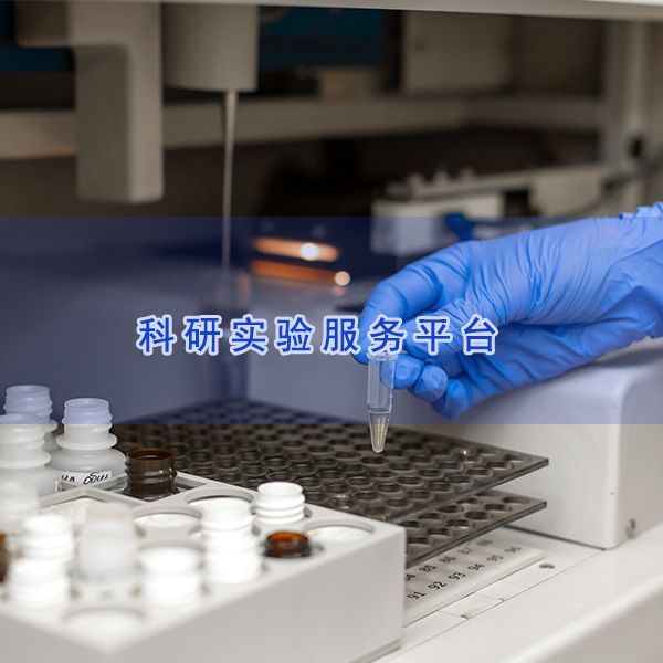 氨基酸检测|肉中游离氨基酸测定|游离氨基酸检测