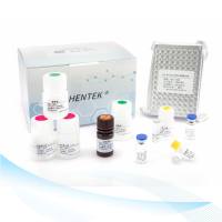 CHO HCP残留检测试剂盒 （ELISA法）