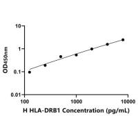 人Ⅱ类主要组织相容性复合体DRβ1(HLA-DRB1)ELISA试剂盒