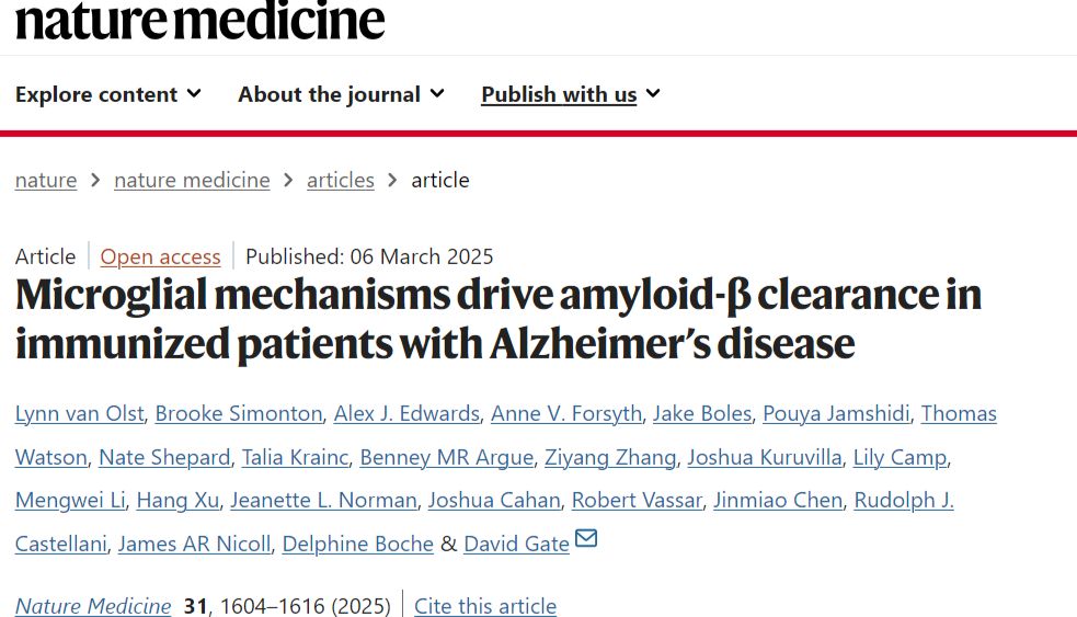 Nature Medicine | Tissue Cytometry技术赋能 Aβ 病理量化：解码 AD 脑内微胶质细胞调控网络