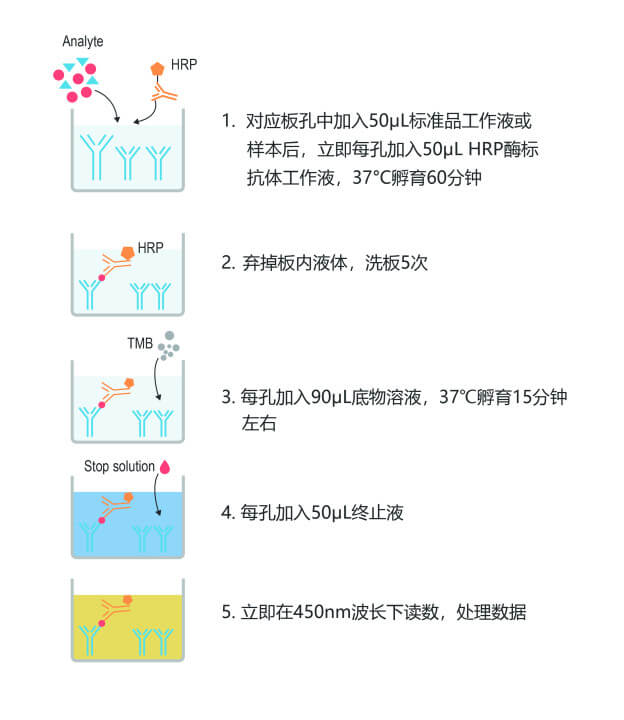 产品细节图片1