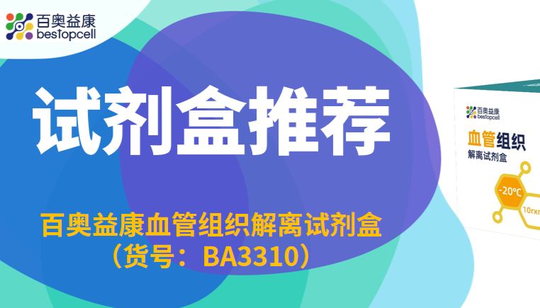 产品推荐 | 百奥益康 BA3310——破解血管解离难题，护航心血管单细胞研究