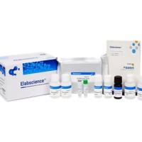 未包被大鼠白介素6(IL-6)ELISA试剂盒-Uncoated Rat IL-6(Interleukin 6) ELISA Kit