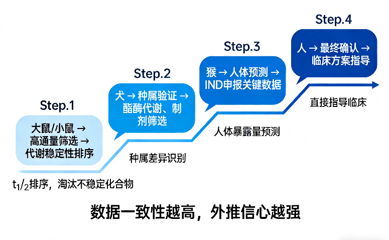 肠微粒体 2-4.png 肠微粒体 2-4.png