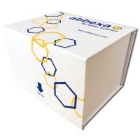 人外周蛋白检测试剂盒(酶联免疫吸附法)