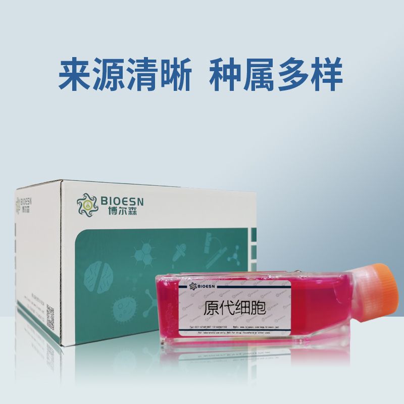 人牙周膜成纤维细胞永生化