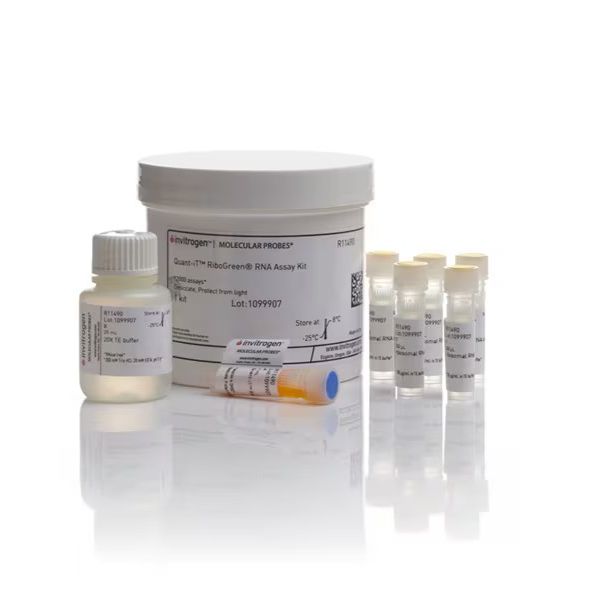 R11490 Quant-iT RiboGreen RNA 试剂盒