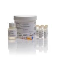 R11490 Quant-iT RiboGreen RNA 试剂盒