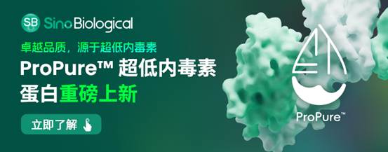 义翘神州ProPure™超低内毒素蛋白：生物制药的“隐形守护者”