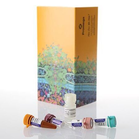 Lumit® 快速细胞因子免疫检测系统