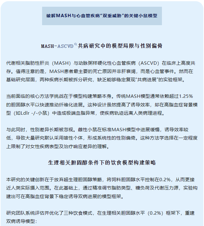 破解MASH与心血管疾病“双重威胁”的关键小鼠模型