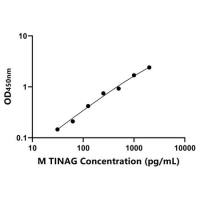 小鼠肾小管间质性肾炎抗原(TINAG)ELISA试剂盒