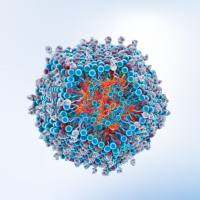 mRNA-LNP定制服务