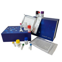 人类白细胞抗原C(HLA-C)ELISA kit种属齐全