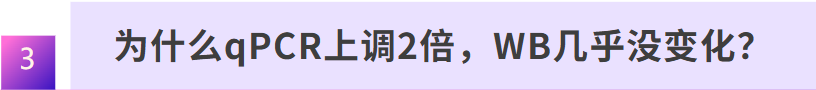 新闻图片3