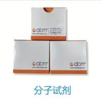 5X All-In-One RT MasterMix with AccuRT