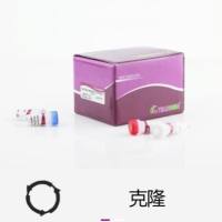 pGM-T产物克隆试剂盒（VT302）