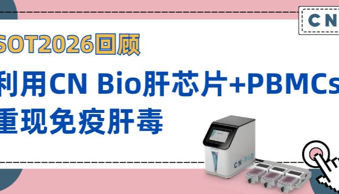 SOT2026回顾｜利用CN Bio肝芯片+PBMCs，重现免疫肝毒