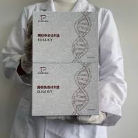 猫（Cat）连蛋白（Zonulin）ELISA检测试剂盒