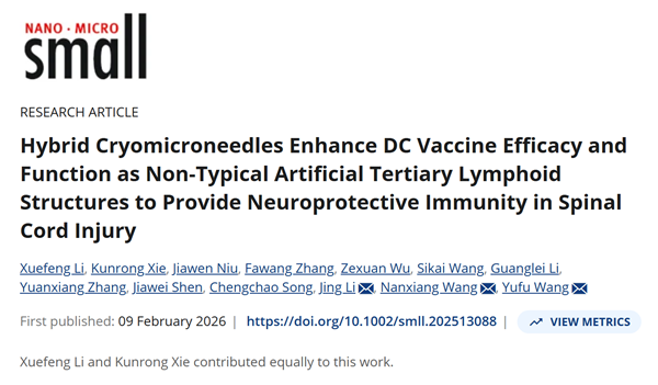 ApogeeFlow纳米流式仪文章分享,哈医大发表在Nano.Micro.Small “Hybrid Cryomicroneedles Enhance DC Vaccine Efficacy and Function as Non-Typical Artificial Tertiary Lymphoid Structures to Provide Neuroprotective Immunity