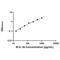 小鼠白细胞介素36(IL-36)ELISA试剂盒