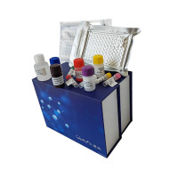 人乌头酸酶2(ACO-2)ELISA kit 全程实验指导