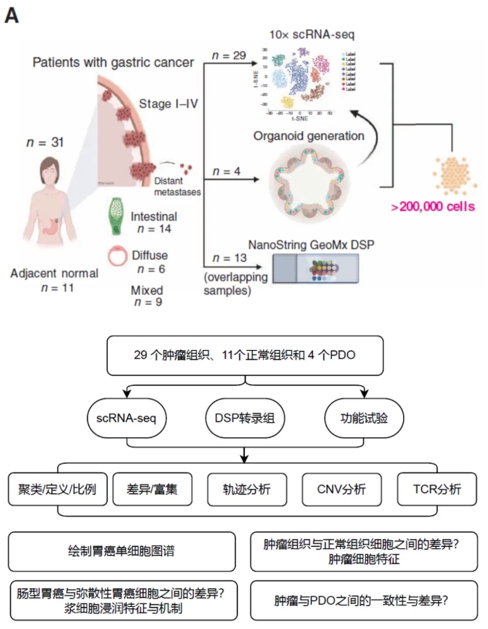 新闻图片2