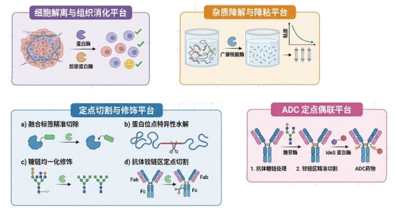 新闻图片1