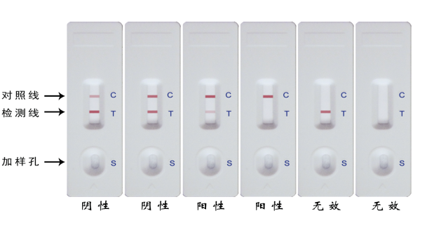 产品细节图片1
