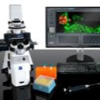 原子力显微镜 AFM检测服务