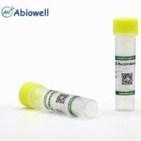 IK Rabbit Polyclonal Antibody