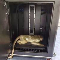 大动物活体成像仪检测服务