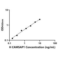 人钙调蛋白调节血影蛋白关联蛋白1(CAMSAP1)ELISA试剂盒