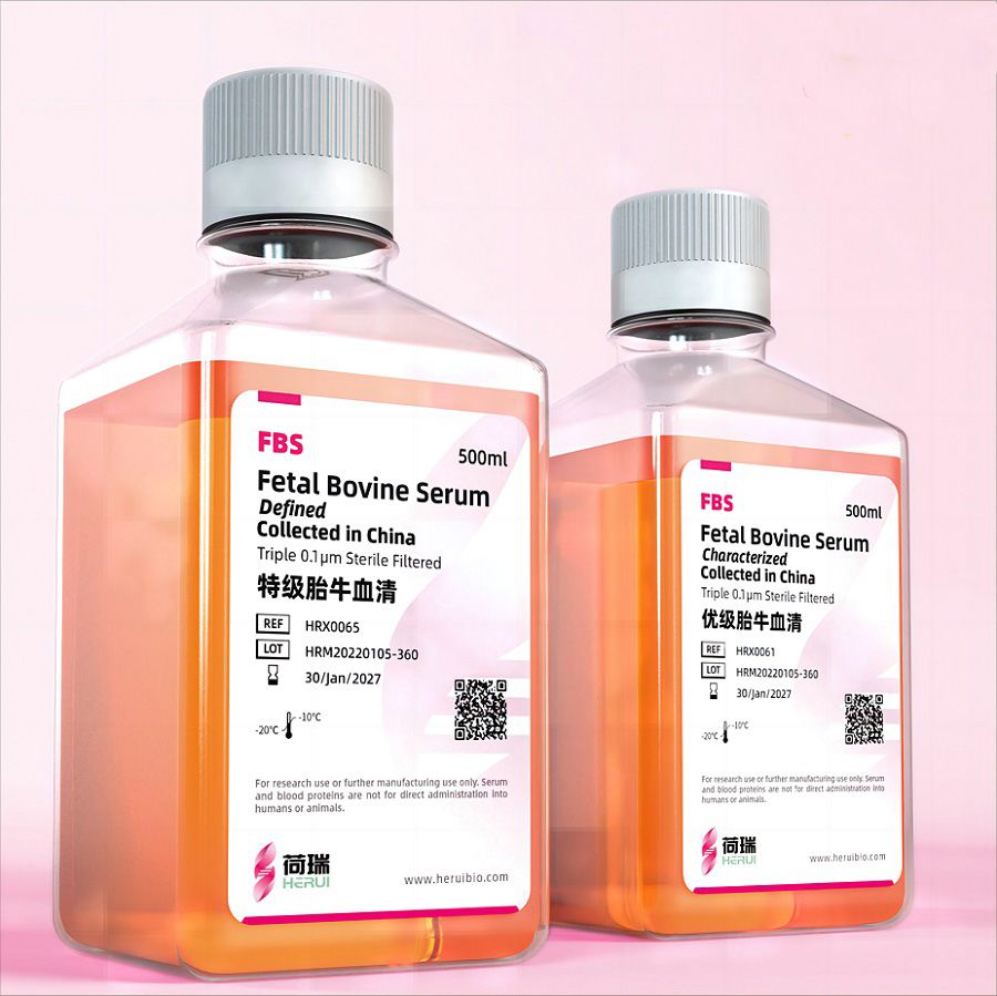 Fetal Bovine Serum Origin China(Characterized）优级胎牛血清