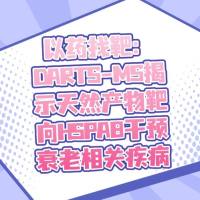 以药找靶：DARTS-MS揭示天然产物靶向HSPA8干预衰老相关疾病